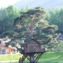 트리하우스 이미지
