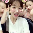 무궁화꽃이피었습니다 세계일보