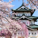 정진카 서비스 이미지