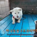현문로