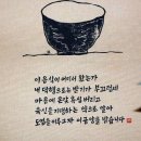 공양 Daum카페