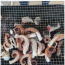 삼천포마리나펜션 이미지