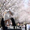 봄이 왔나 봄 이미지