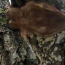 제눈에안경 이미지