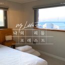 월정씨하루 이미지