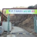 선기농장 이미지