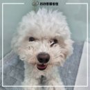 리라동물병원