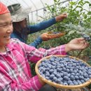 해남슈퍼 이미지