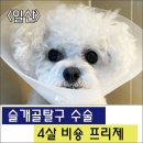 삼송사랑 동물의료센터 이미지