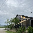 애견카페 제니콩콩 | [원주] 애견카페, 애견운동장