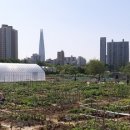 송파농장 이미지