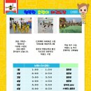 용인대 호랑이 태권도장 이미지