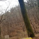 삼정여관 이미지