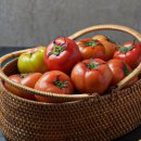 토마토 - 미추홀구 인하로 174 | 토마토