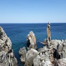 대한노인회영주시지회 이미지