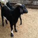 승희농장 이미지