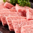 역삼-1273 이미지