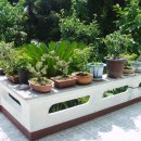 하얀민박 이미지