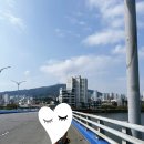 국토종주자전거길1-415 | 자전거 국토종주 8일차 추석연휴에 떠나는 커플...4대강 종주 자전거길 (부산, 버스에 자전거 싣는 법)