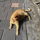 스테이커피한신대점 | 졸려요, 그냥 졸려요
