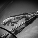 아크로공업사 이미지