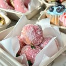 댕댕학당 | [용인 애견학당] 펫푸드 자격증 비용 및 창업과정 한눈에 알아보기