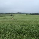 청천마을회관 이미지