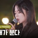 박혜원 - 그대가 분다 이미지