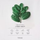 순피부과의원 이미지