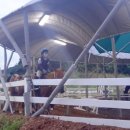 울산EDA승마장 이미지