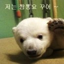 복성 이미지