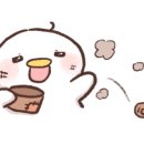 파파쿡스김밥