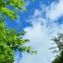 (주)아산온천호텔 이미지