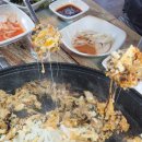 산수정 Daum카페