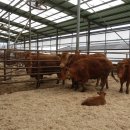 범당골농장 이미지