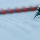 자산 행정사 사무소 이미지