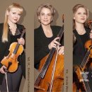 빈필하모닉 다스콰르텟 내한공연 이미지