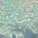 항구도시 이미지