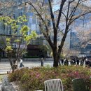 우지커피판교H