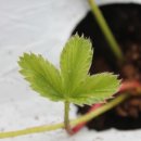 김이순농장 이미지