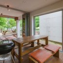 모모의 숲 이미지