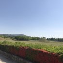 계림면옥 이미지