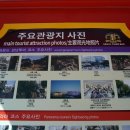 어라운드 강남 코스 이미지