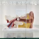 다비치히어링 보청기 해운대점 이미지