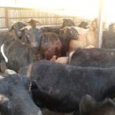 이천제이농장 이미지