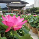 궁평항 어항구역 내 주차장 일부 | 경기도 남부 혼행 성지 TOP 5: 뚜벅이도 OK! 나 홀로 힐링하기 좋은 감성 충전 여행 코스!