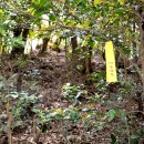 영산도명품마을 이미지