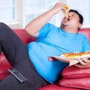 성일레포츠내