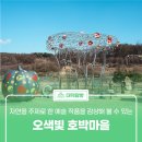 오색빛협동조합 | 자연을 주제로 한 예술 작품을 감상해 볼 수 있는 &#39;오색빛 호박마을&#39;