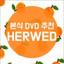 본식 DVD 계약 후기_HERWED 추천인